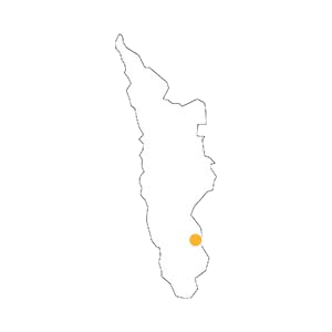 Manocino