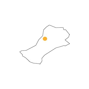 Pisapola