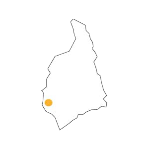Pugnane