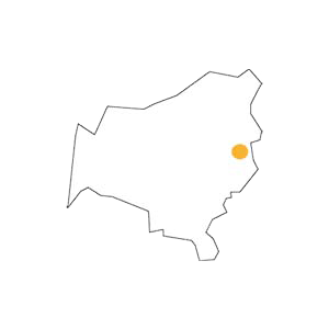 Vignane